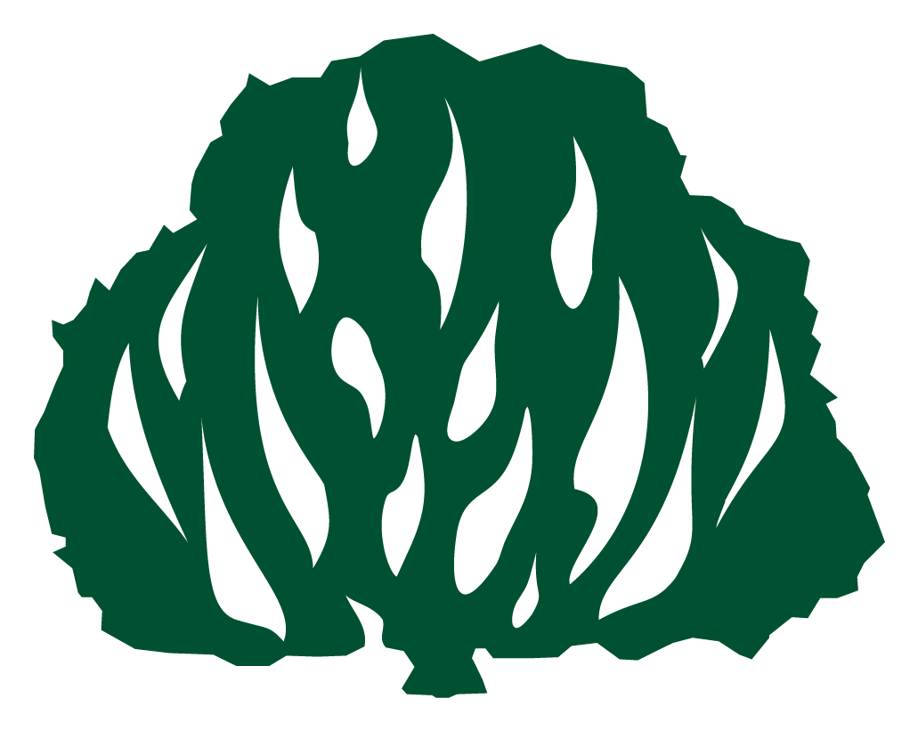 Sarça